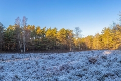 IMG_5667-HDR-Pano