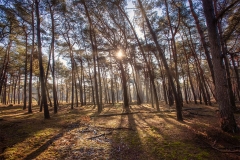 IMG_5918-HDR-Bearbeitet